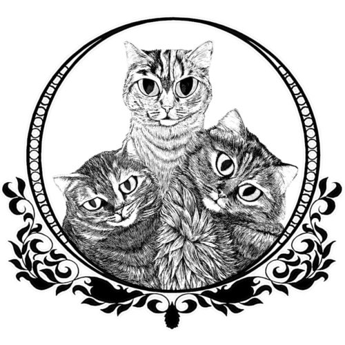 Les 3 chats portrait