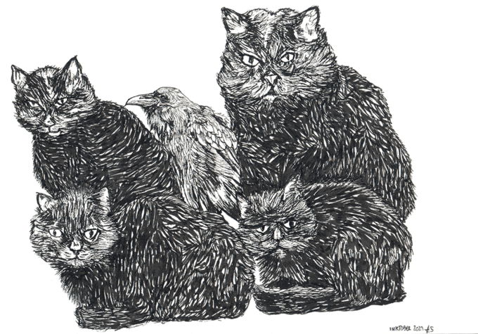 inktober 2021 - jour 05 - Raven