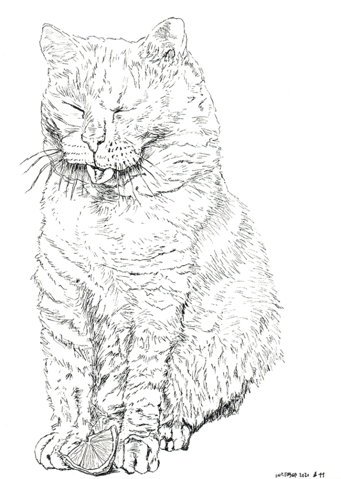 inktober2021-11 inktober 2021 - jour 11 - sour