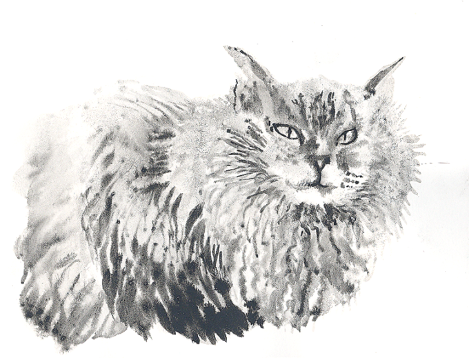 dessin à l'encre numéro 003