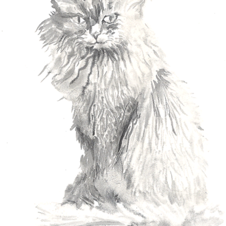 dessin à l'encre numéro 005