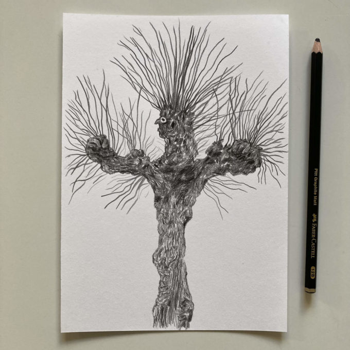 drawllo-26-treeple-ak-original drawlloween 2022 - treeple (original)