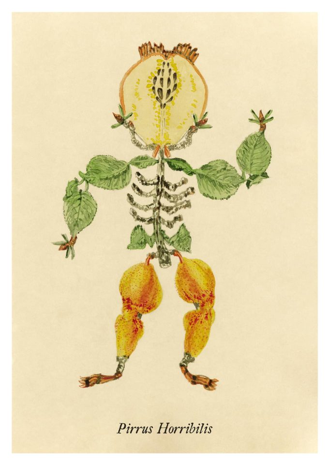 drawlloween-ak-d06-botanical-beasts drawlloween 2022 - botanical beasts