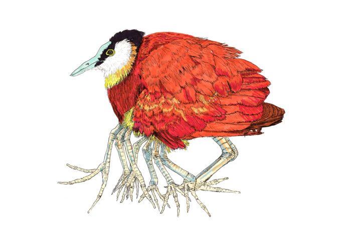 drawlloween-ak-d17-a-lot-of-legs drawlloween 2022 - a lot of legs