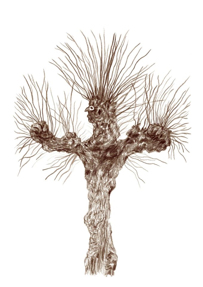 drawlloween-ak-d26-treeple drawlloween 2022 - treeple