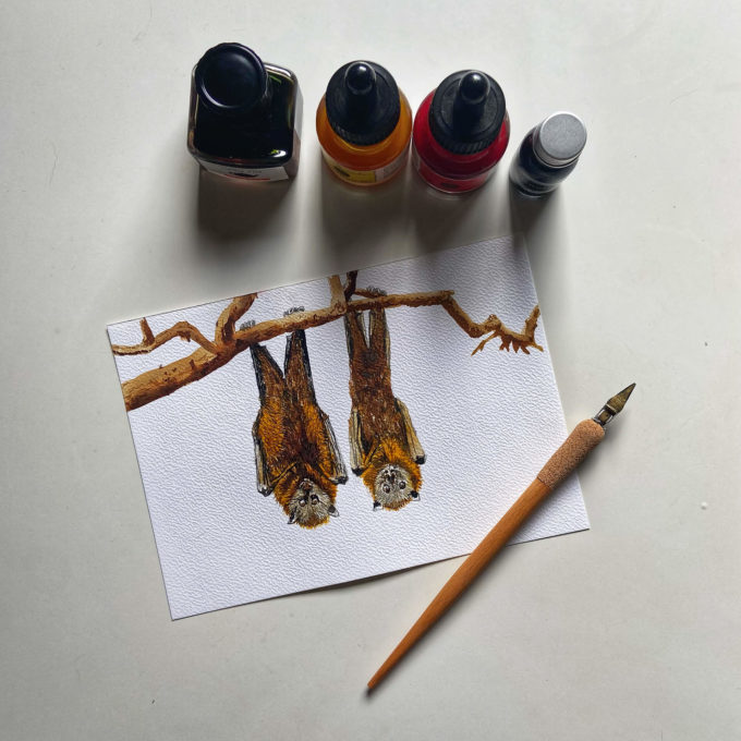 inkto-03-bat-ak-original inktober 2022 - bat (original)