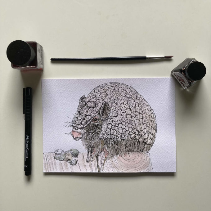 inkto-15-armadillo-ak-original inktober 2022 - armadillo (original)