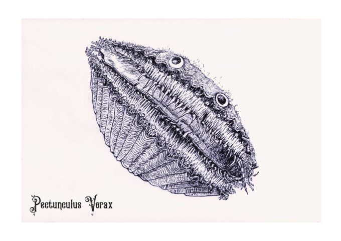 Inktober 2022 - scallop