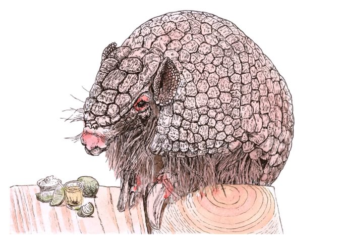 inktober-ak-d15-armadillo inktober 2022 - armadillo