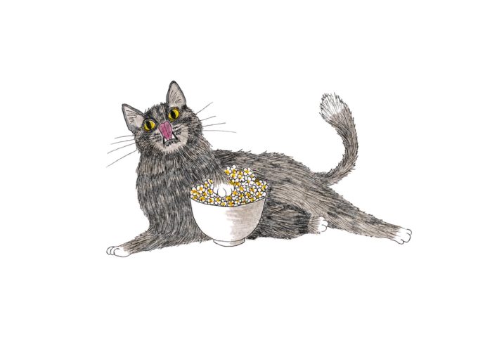 inktober-ck-d27-snack inktober 2022 - snack