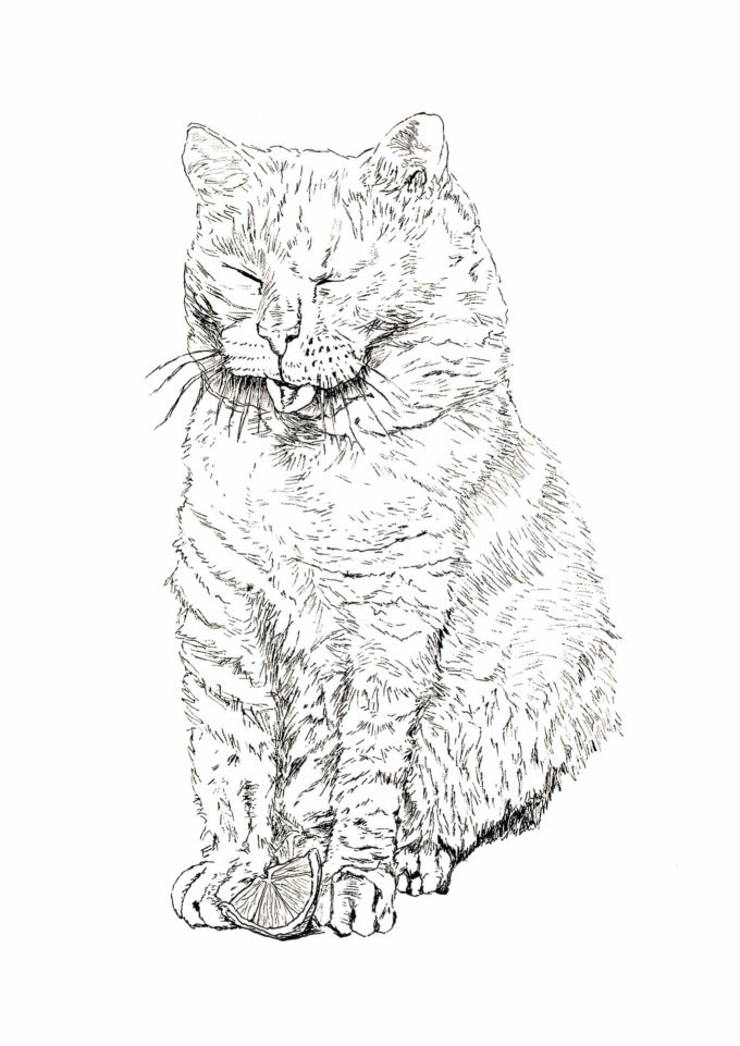 inktober-2021-ak-11-sour inktober 2021 - sour