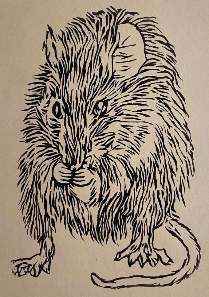 linogravure kiss my rats